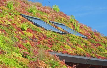 Holly Cross living roof systems